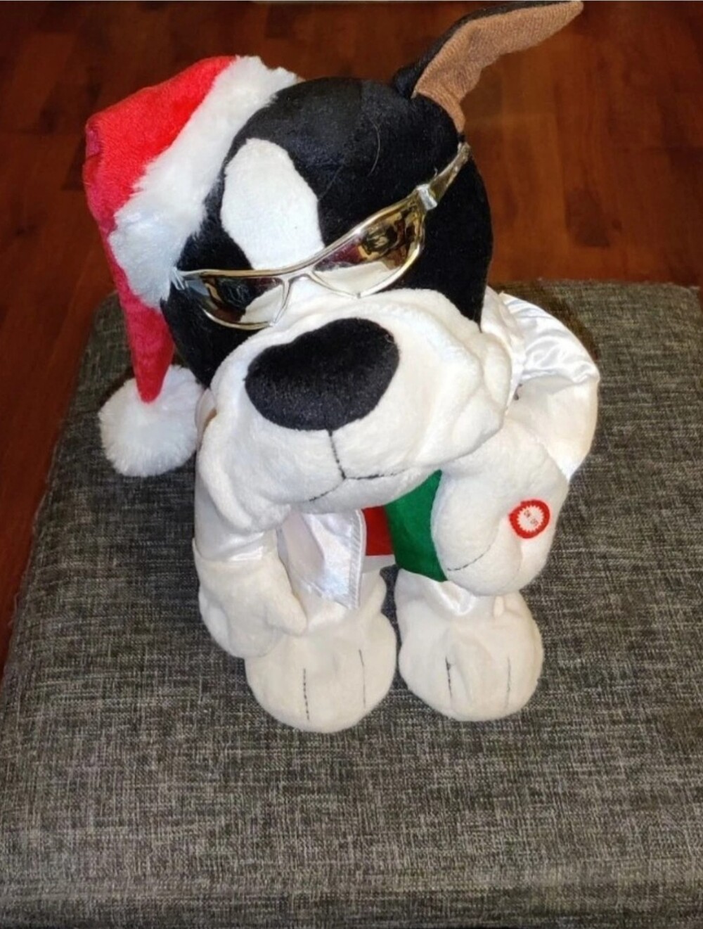 Kids Of America Singing Dancing B&W Dog Christmas Song "Let It Snow" 2015 Works!
